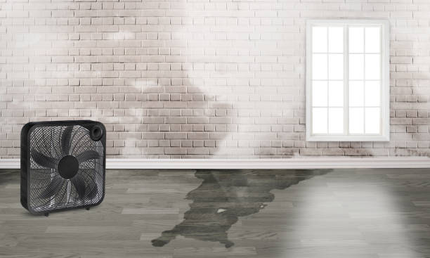 Best Commercial water damage restoration  in Camp Croft, SC