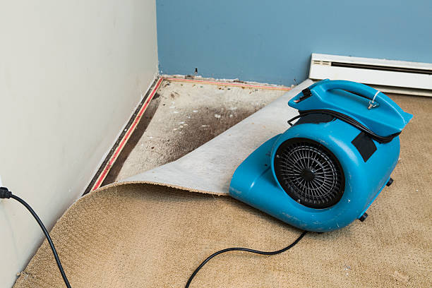 Best Carpet water damage restoration  in Camp Croft, SC